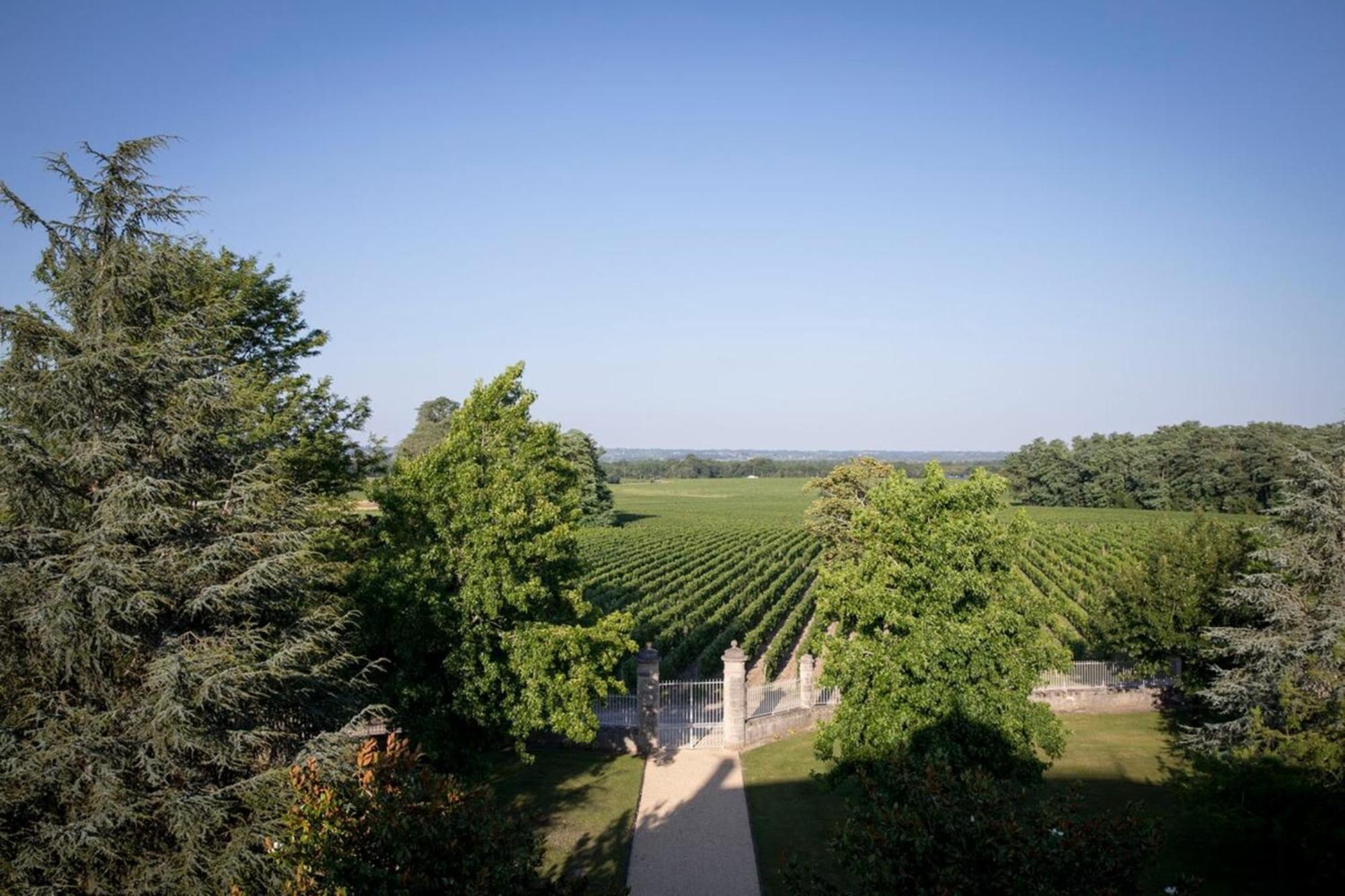 Chateau Malescasse Lamarque Kültér fotó