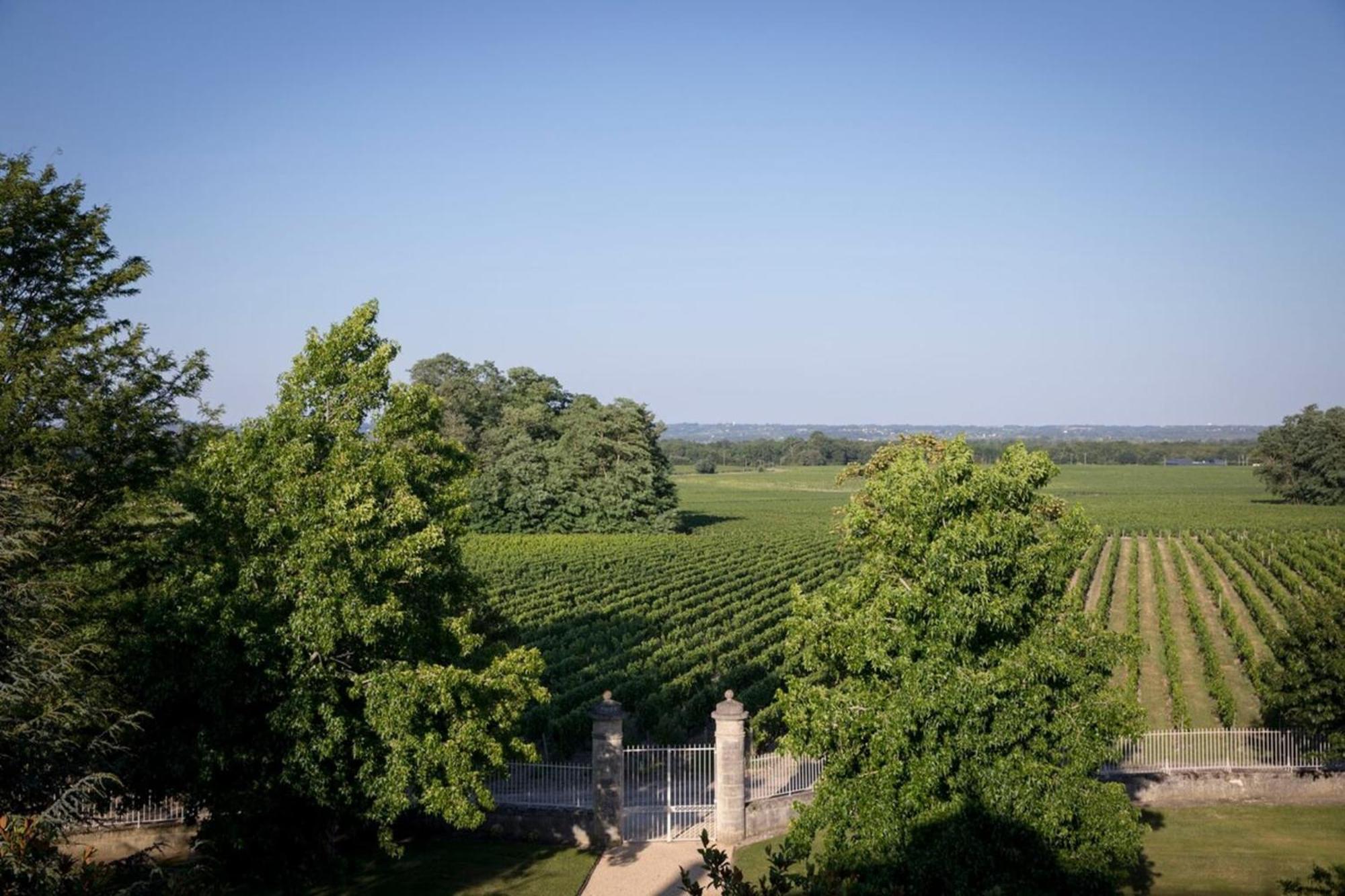 Chateau Malescasse Lamarque Kültér fotó