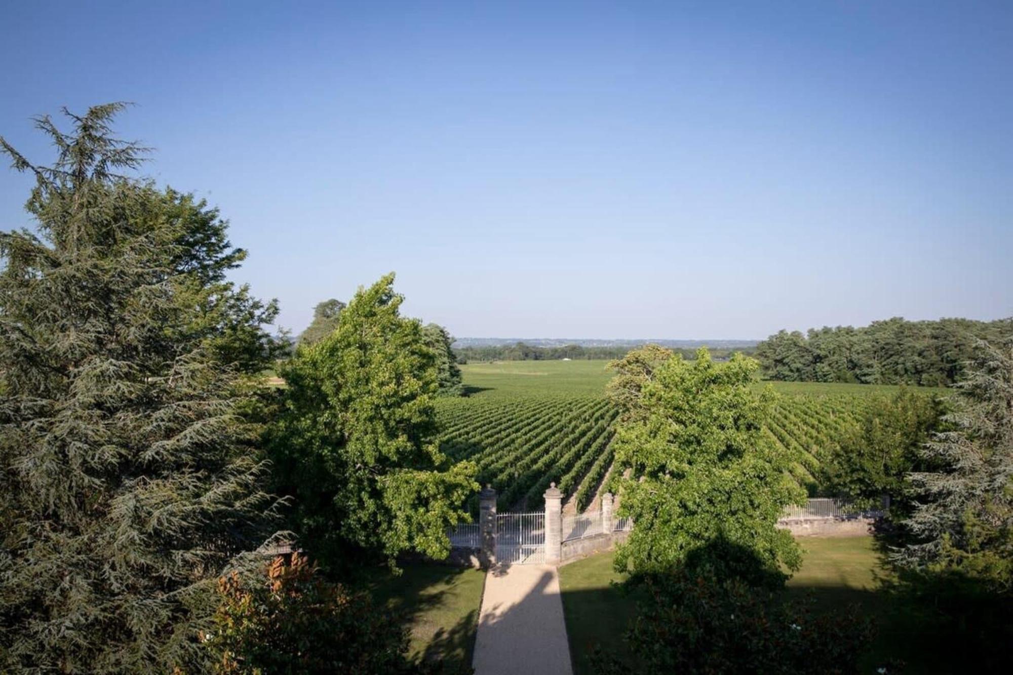 Chateau Malescasse Lamarque Kültér fotó